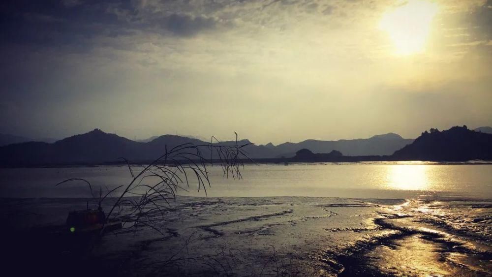  码头|褚树荣：在乡愁码头上《若有所思》