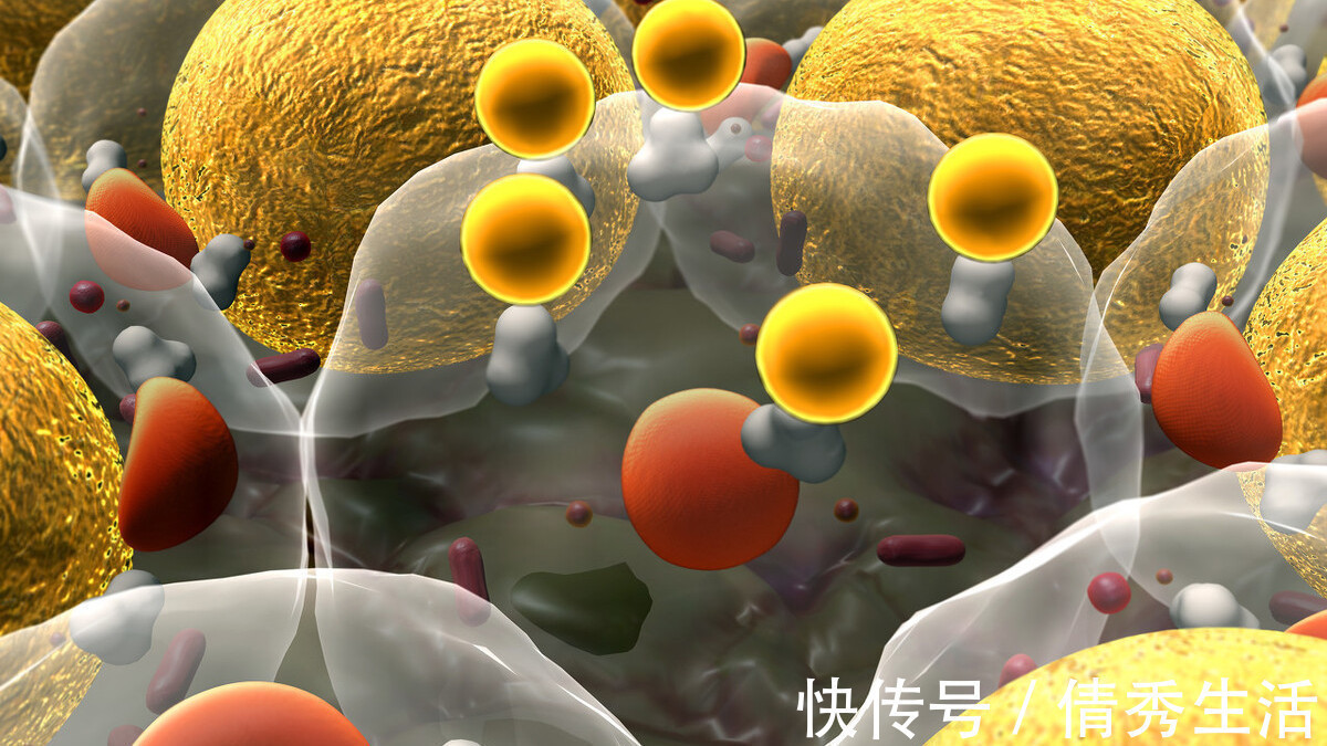 消化系统|黑芝麻营养价值高,不过3类人,尽量不要碰,以免给健康招来麻烦