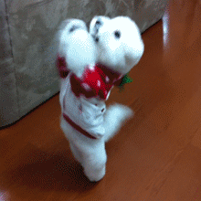 |搞笑动图:不好好走路,哥们你抽筋了么?