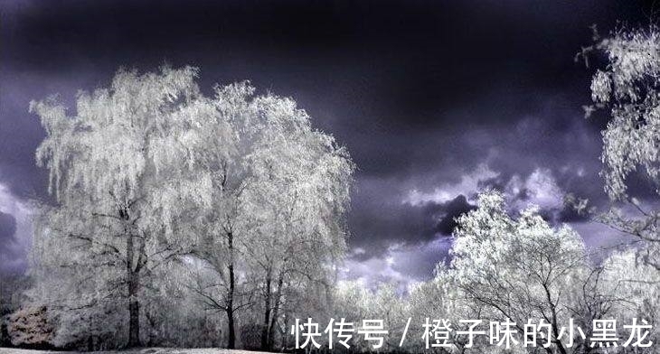 老子!名句新解之我见28:天下难事,必作于易;天下大事,必作于细