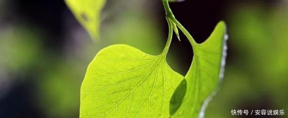 现象|脾生病,人就废一半!脾胃虚不虚看嘴就知道,7种现象,要补脾了