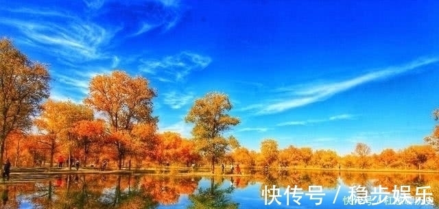 胡杨林|中国有一“奇树”，生来千年不死，死后千年不倒，倒后千年不腐