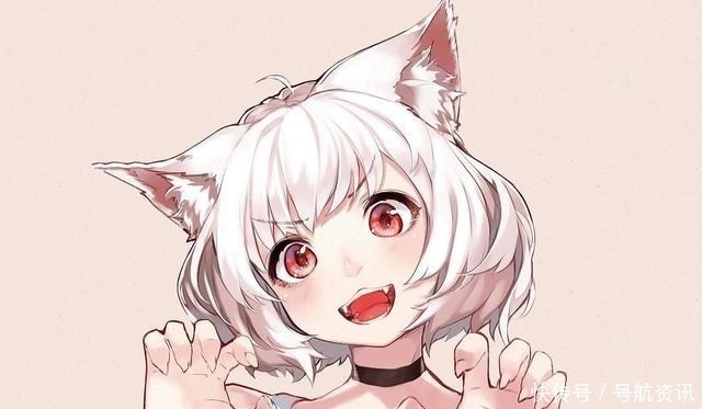 猫咪|想让猫咪变成人变是不可能的,但画师可以将其画出来!