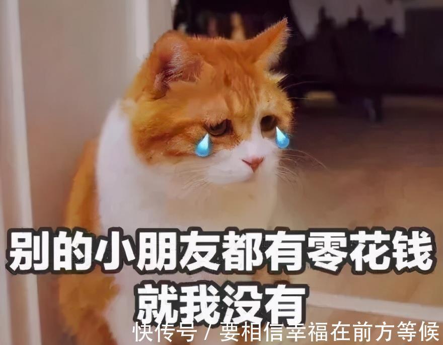 大学|大学生花式要生活费走红,父母十感然拒,网友:你妈还要干儿子吗