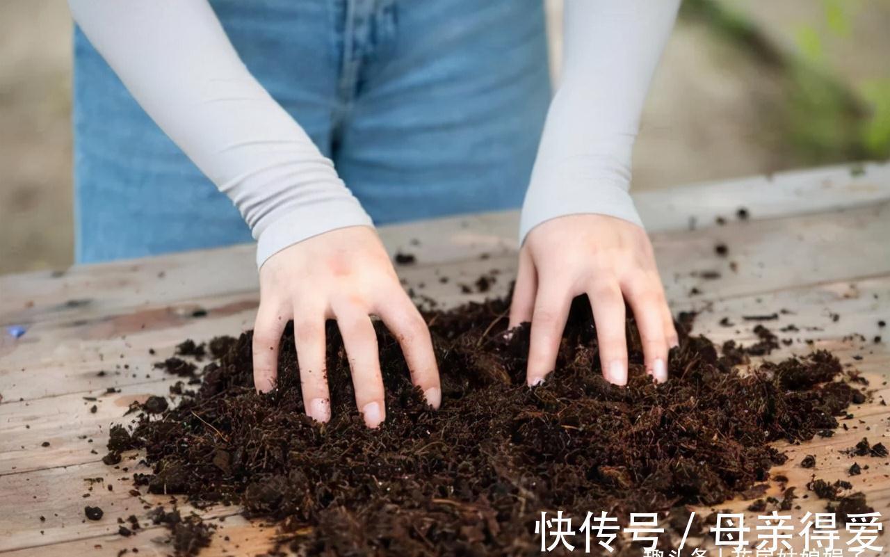 养花重在养根，养好根系要让盆土达到理想状态，关键是要配合平衡