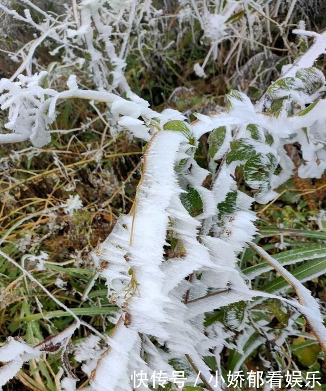 贵州|快看！贵州黔东南雷公山上处处银装素裹，风景美翻了……