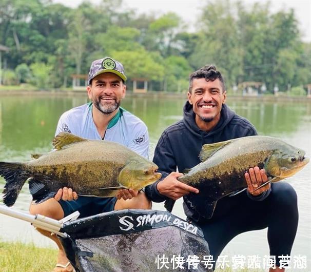 传奇球星|彻底臭了!中超传奇球星引发众怒,球迷痛骂毫无职业道德