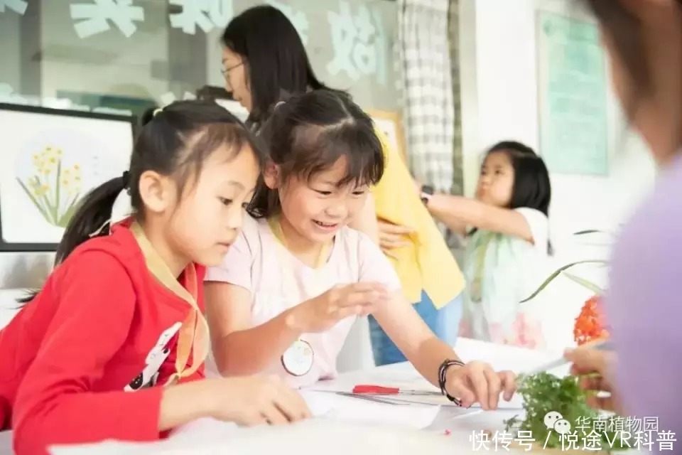 研究化石,趣味定向,植物压花!番禺公园科普活动继续神奇旅程!