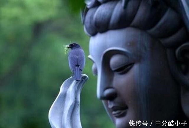 入世|佛法,要在入世中修持