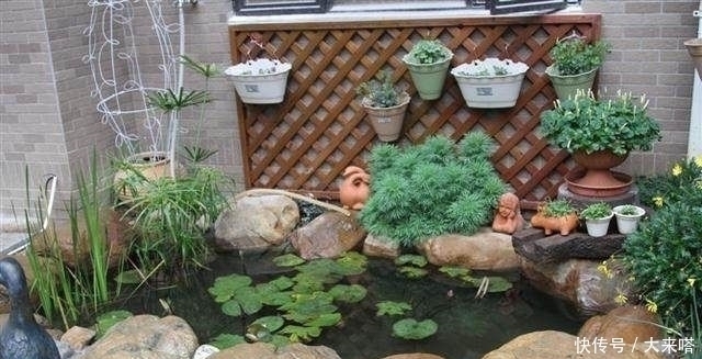 有庭院的人都开始造景观鱼池了美哭了,回家也要挖一个