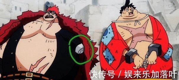 热血动漫|海贼王他们三人不怕残疾,四肢毁掉了还能继续造出来