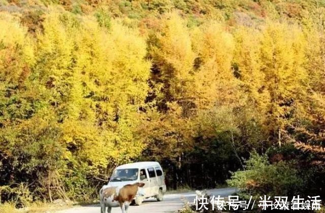 悬崖|太行山中一个被遗忘的魅力小县，景色超美，还有2条挂壁公路