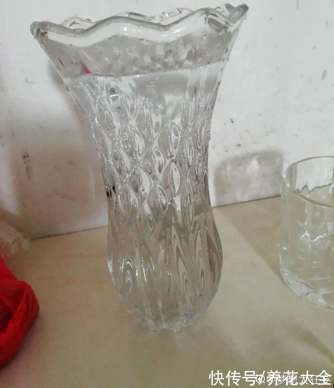 1种花叫“雪柳”,剪几根枝插水里,7天长叶,一个月开花,绝美