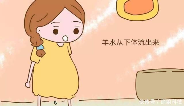 甲鱼|胎儿最害怕“十件事”，会影响胎儿发育，孕妇要尽量避免