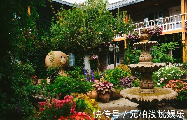 院子里有空地要种三种树,没空地挤挤也要种,寓意深远