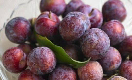 谷酰胺|热量低的好食物,男女坚持吃一些,美容抗衰,肌肤年轻,越吃越白