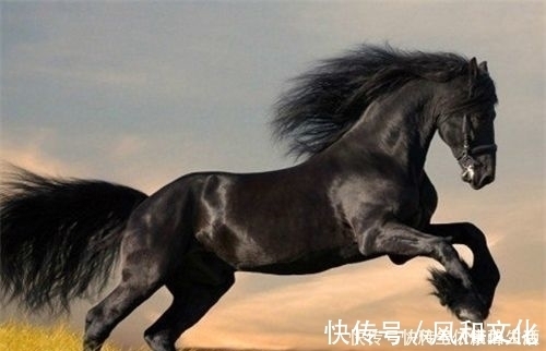 曹操#中国历史上的6匹名马,除了赤兔马,其余的5匹你都知道么