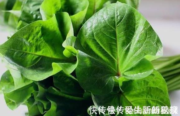 人到中年|人到中年想长寿,学会多吃3类食物,美容养颜、增强体质