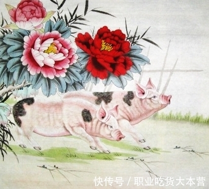 提拔|8月开始,事业上得提拔,生活中被关照,每一天都幸运的四大生肖