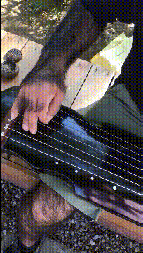 |搞笑GIF:撞衫不可怕 谁小谁尴尬