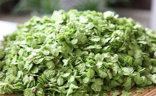 中药|春天吃野菜身体更健康，此4种野菜是天然中药，没事常吃身体更棒