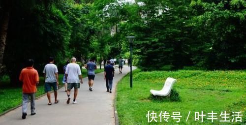 幽门杆菌|胃病的“克星”,每天吃一口,轻松击垮“幽门杆菌”,自愈老胃病