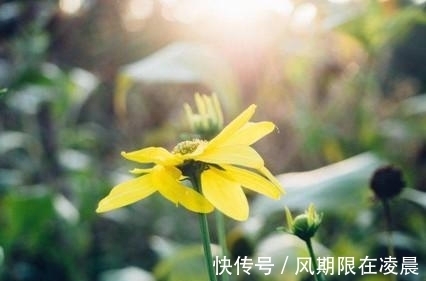 属兔|痴心难改，深情相拥，携手共度朝，深情携手，余生幸福牵