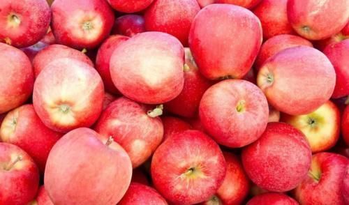 常吃苹果的人,身体不会差,但切忌与一物同食,却有太多人不清楚