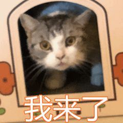 宝安区|深圳又一批公租房正接受申请,全是2室1厅