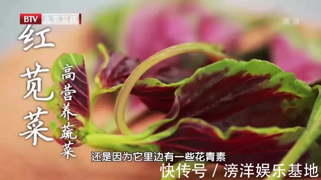 维生素b12|比核桃补脑、比牛奶补钙!常吃“长寿菜”,还能控血压、护血管