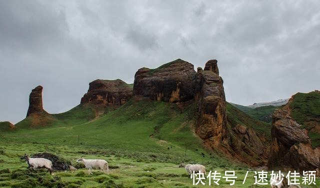 龙羊峡|高原散记，漫步在雪山峡谷之间