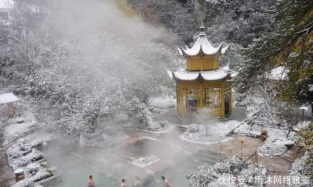 黄山松|中国最宝贵的树 如今送客松已死, 有人怀疑迎客松是棵假树