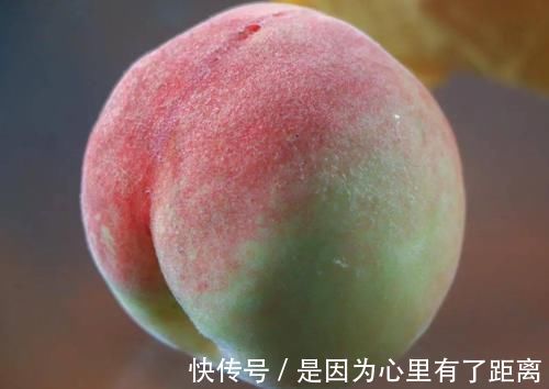 健康|叮嘱家人夏天吃桃子要注意,必须避开这几点,才健康又安全
