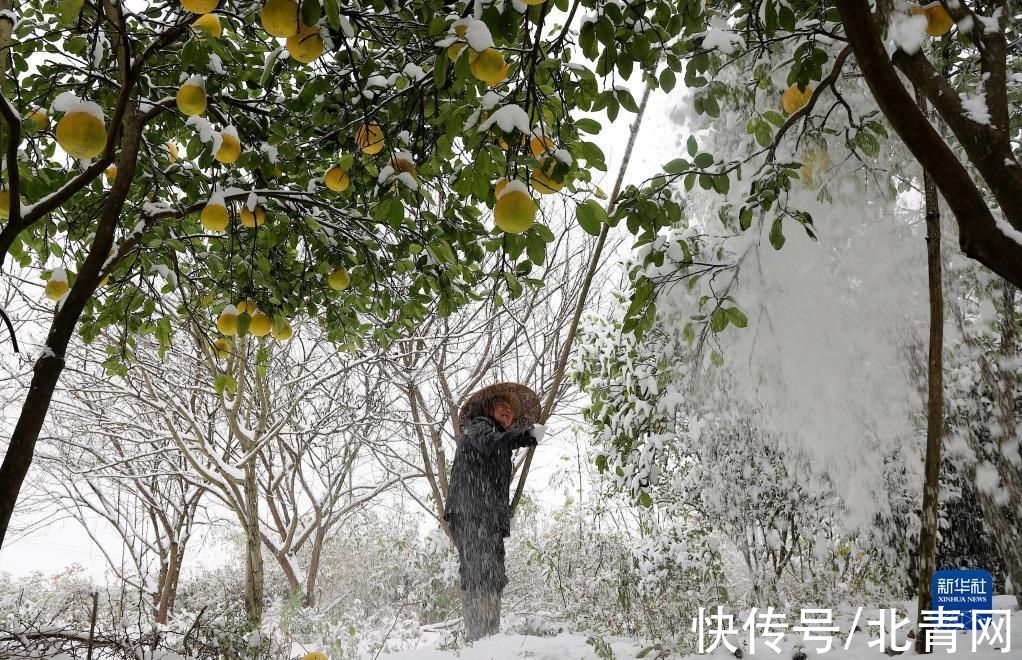 秭归县|全国多地迎降雪