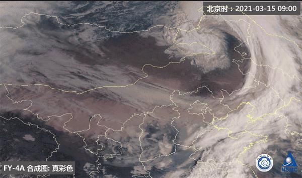 沙塵 “頂流天團(tuán)”，喜添新成員！