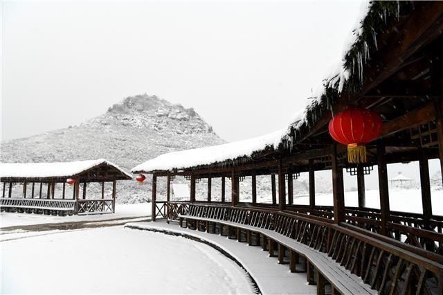 仙境|百里杜鹃，一下雪就美成仙境~