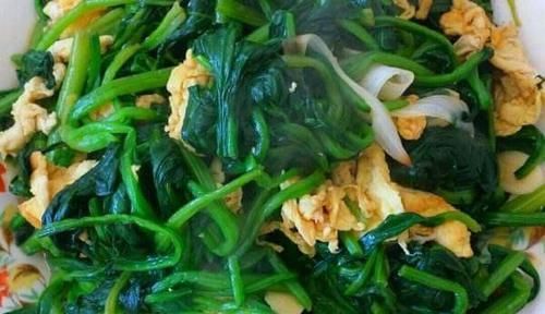 养生注意饮食，推荐吃的食物，排毒清脂，减轻体重，补充营养物质