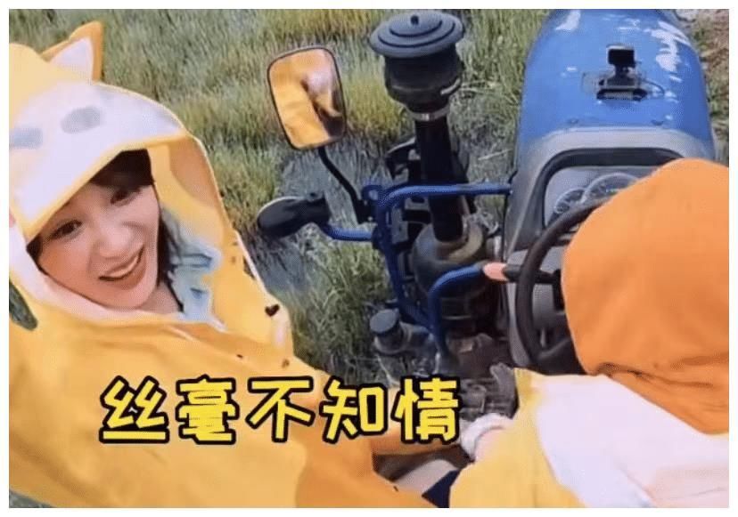 宋雨琦|太離譜!《奔跑吧》《向往的生活》淪為陪跑,這款慢綜藝才是黑馬