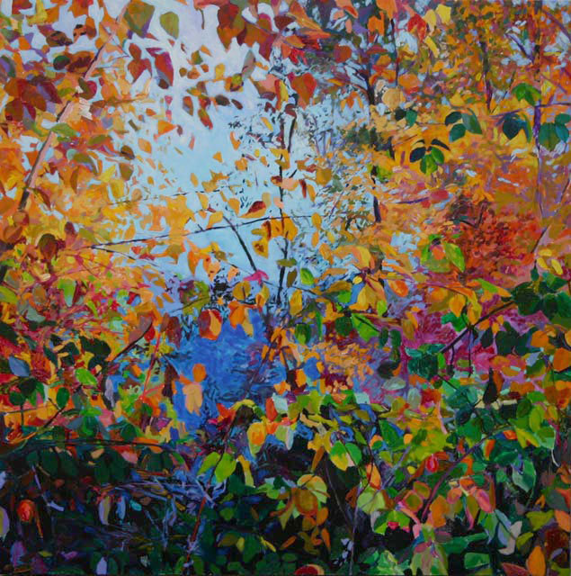 画面@凌乱的色彩,整体和谐的画面,美极了