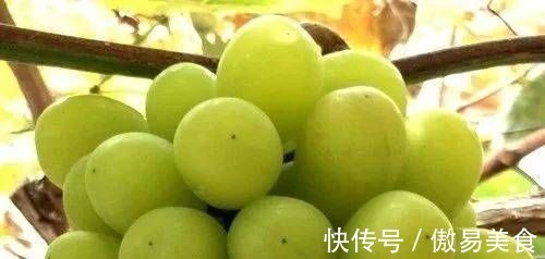 香菜根|这个东西要连皮吃,大病小病都不怕,最便宜的才几元一斤