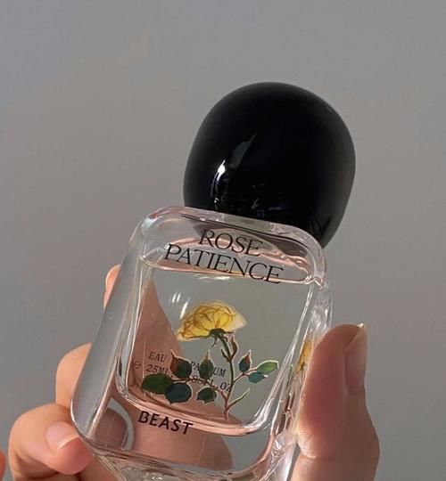 一天一块！高中生自用心机好物，寒假偷偷逆袭变美！