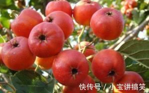 养肝|肝不好的人，若少吃“3红”，多吃“2黄”，肝或会一天比一天好