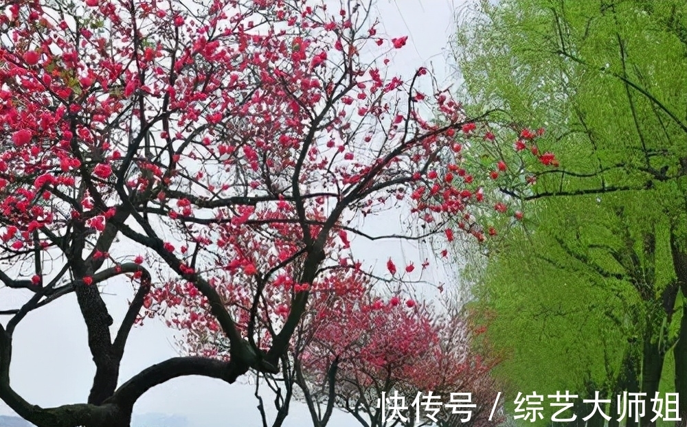 离别!不落窠臼的送别诗,这位诗人真洒脱,开眼了