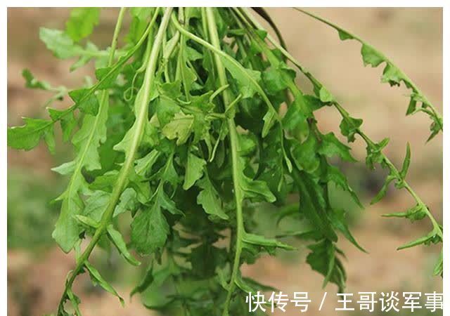 牛奶|春天除了给孩子喝牛奶,这5种蔬菜也要多吃!助力成长个子高