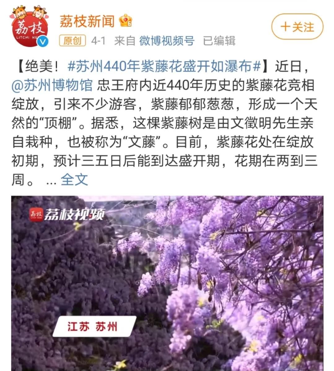 美上热搜！苏州这些百年古树你知道多少？