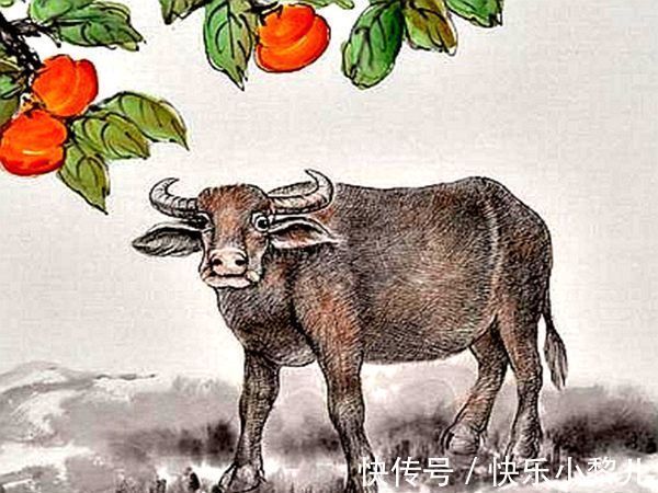 小日子|1月16日开始,财运开花,3大生肖小日子蹭蹭涨,喜气盈门