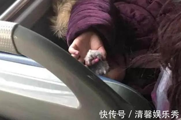 父母|5岁女孩坐公交车,一连串“恶心”行为让乘客反感:被妈妈带坏了