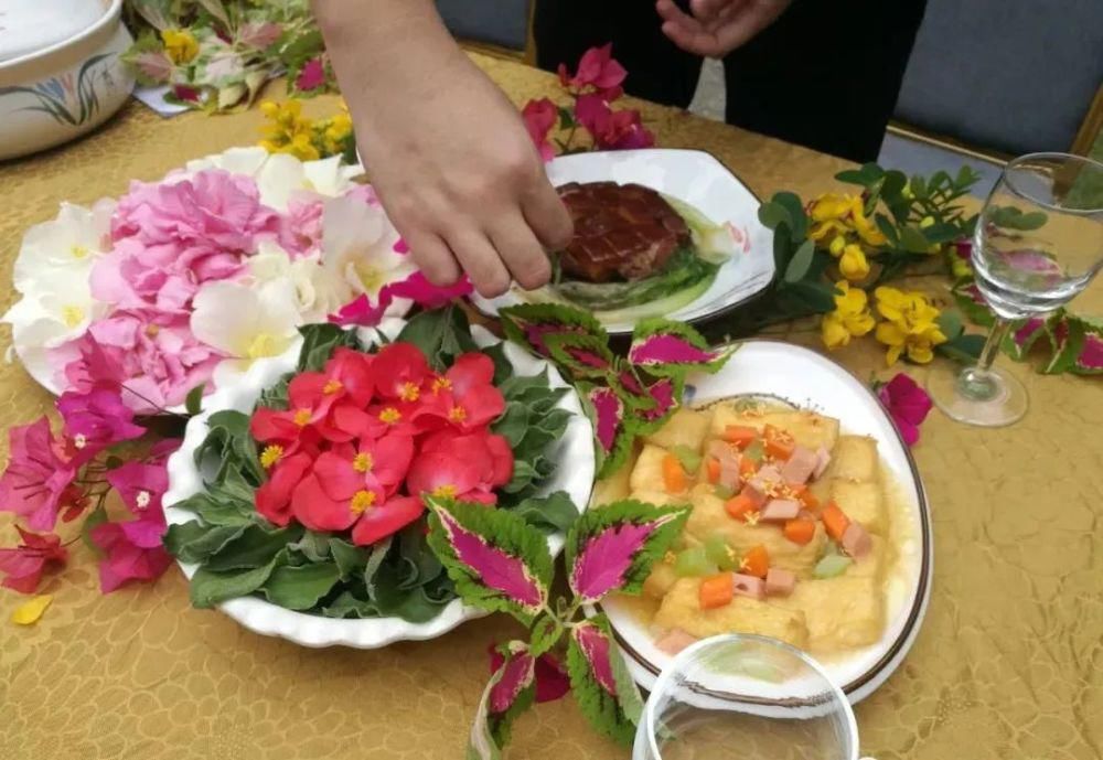 老年|新春沉醉花海,共游壮美叠彩!