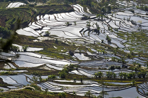 梯田|山势最险峻复杂、气势最恢宏壮观，大地雕塑最高典范，老虎嘴梯田