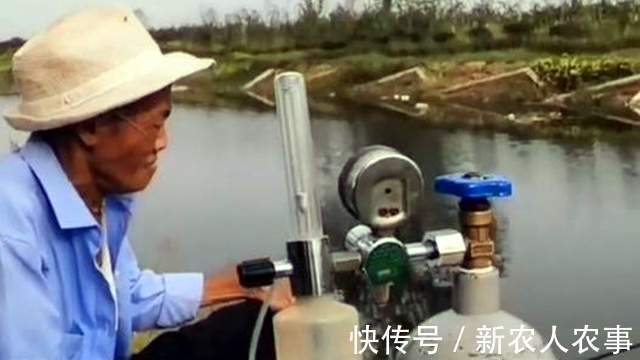 钓鱼界的天花板!河南七旬老人钓鱼带着氧气瓶,一边吸氧一边垂钓